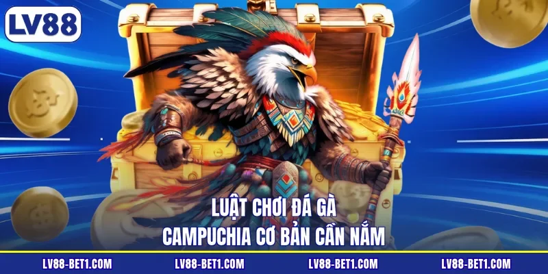 Luật chơi đá gà Campuchia cơ bản cần nắm