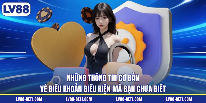 Những thông tin cơ bản về điều khoản điều kiện mà bạn chưa biết